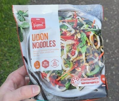 Udon Noodles