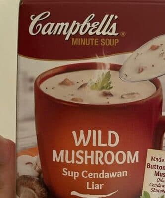 Wild Mushroom Soup