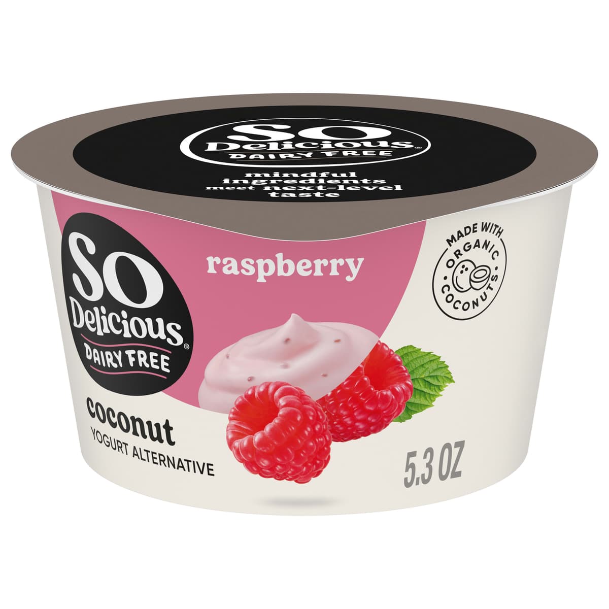 Coconutmilk Yogurt Alternative