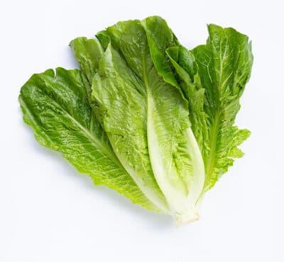 Fresh Selections Leafy Romaine