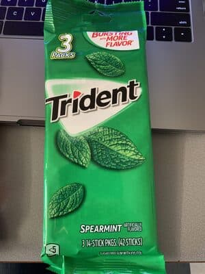 Spearmint Sugar Free Gum With Xylitol Stick