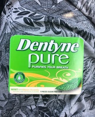Dentyne Pure Gum Mint/Melon Accents Sugar Free