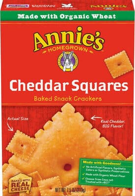 Organic Cheddar Squares Baked Snack Crackers