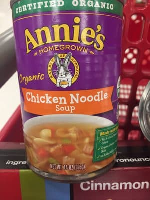Organic Chicken Noodle Soup