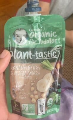 Gerber organic
