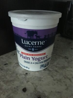 Plain Yogurt Made With Whole Milk