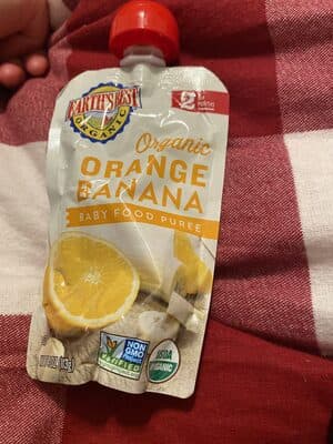 Organic Baby Food Puree