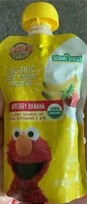 Strawberry Banana Organic Fruit Yogurt Smoothie