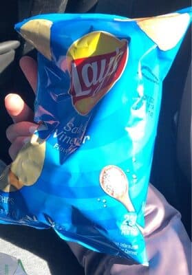 Lay's Salt and Vinegar Potato Chips