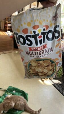 Tortilla Chips, Multigrain