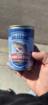 Regular Pink Salmon In Water