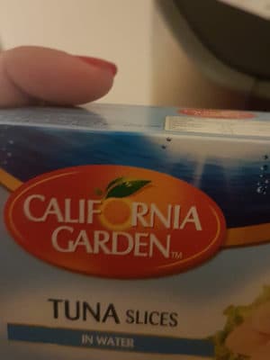Tuna Slices