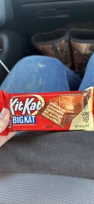Crisp Wafers in Milk Chocolate Bars