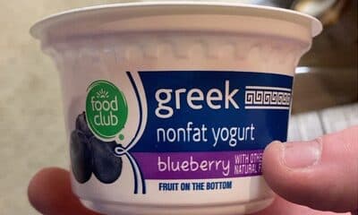 Blueberry Fruit on the Bottom Greek Nonfat Yogurt