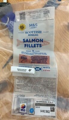 Salmon Fillets