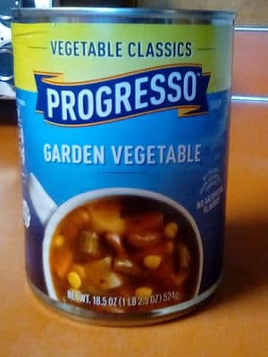 Garden Vegetable Soup