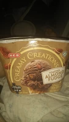 Toasted Almond Fudge Dutch Chocolate Premium Ice Cream Made With Fresh Cream And Roasted Buttery Almonds