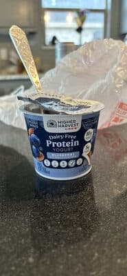 Dairy-Free Protein Yogurt Blueberry