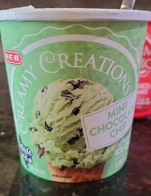 Mint Chocolate Chip Peppermint Premium Ice Cream Made with Fresh Cream and Rich Naturally Flavored Chocolate Chips