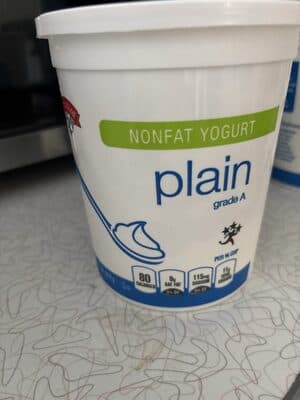 Nonfat Yogurt, Plain