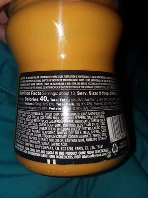 Bold Southwest Flavor Medium Salsa Con Queso Dip