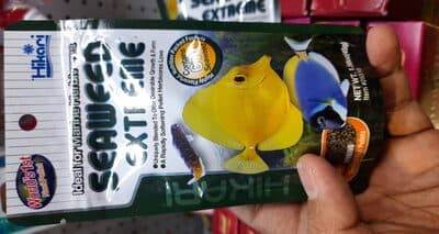 Fish Food Hikari Seaweed Extreme
