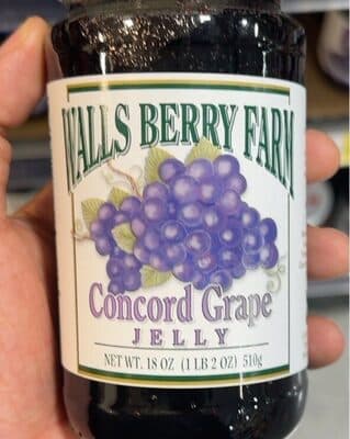 Concord Grape