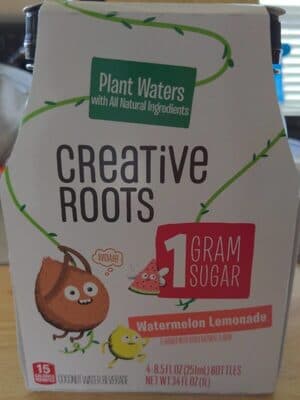 Watermelon Lemonade Flavored Coconut Water Beverage