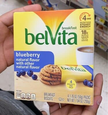 Blueberry Flavor Breakfast Biscuits