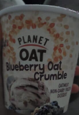 Blueberry Oat Crumble Oatmilk Non-Dairy Frozen Dessert