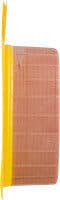 Oscar Mayer Bologna