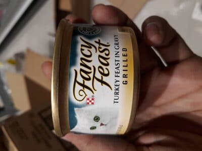 Purina Fancy Feast Gravy Wet Cat Food, Grilled Turkey Feast in Gravy
