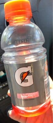 Gatorade Fruit Punch