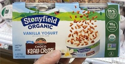 Vanilla Lowfat Yogurt and Cereal