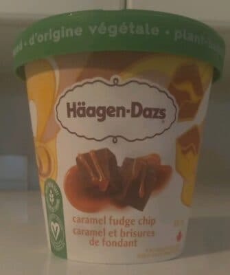 Caramel Fudge Chip Plant-Based Frozen Dessert