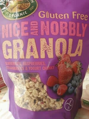 Gluten Free Natures Path Mixed Berry Granola