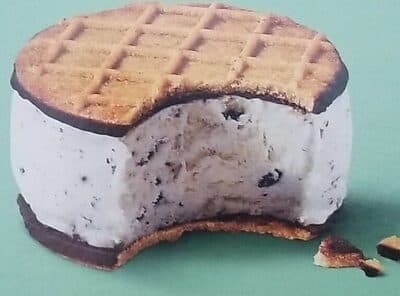 Mint Chocolate Chip Ice Cream Sandwiches