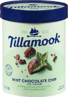 Really Creamy Ice Cream, Mint Chocolate Chip