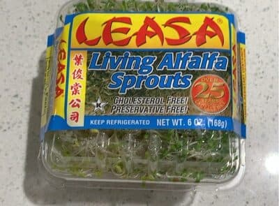 Living Alfalfa Sprouts