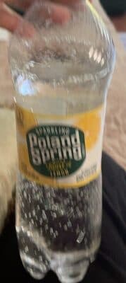 Lively Lemon Flavor Sparkling Natural Spring Water