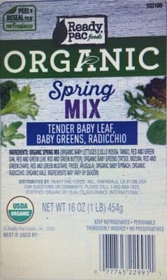 Organic Tender Baby Leaf, Baby Greens, Radicchio Spring Mix