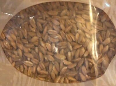 Farro