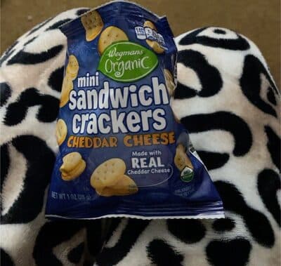 Mini Sandwich Crackers Cheddar Cheese