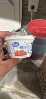Greek Blueberry Nonfat Yogurt