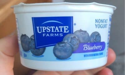 Upstate Farm Blueberry Yogurt