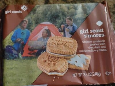 S'mores Graham Sandwich Cookies With Chocolate And Marshmallowy Filling