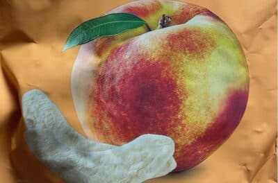 Freeze-Dried Peach Slices