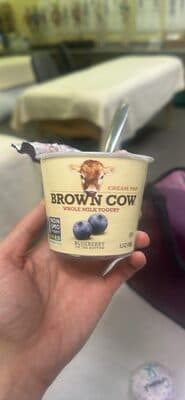 Blueberry Cream Top Whole Milk Yogurt