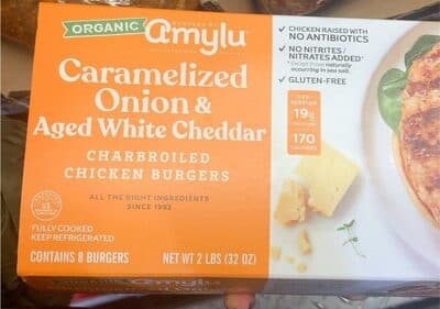 Caramelized Onion and Aged White Cheddar Chicken Burger