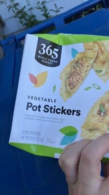 Vegetable Potstickers